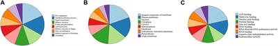 A first draft genome of holm oak (Quercus ilex subsp. ballota), the most representative species of the Mediterranean forest and the Spanish agrosylvopastoral ecosystem “dehesa”